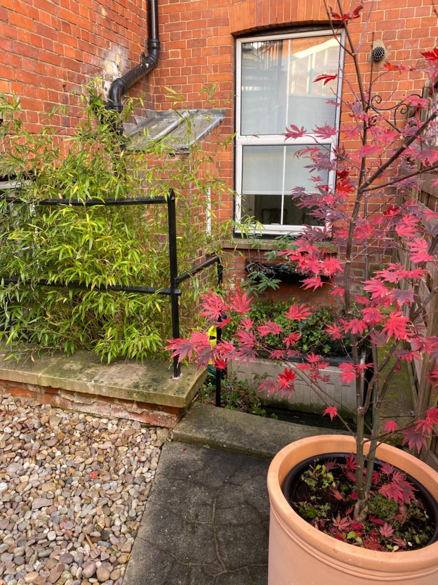 Deluxe Three Bed Bnb In Henley-On-Thames Near Station River & Town Centre Buitenkant foto
